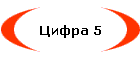 ����� 5