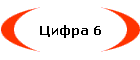 ����� 6