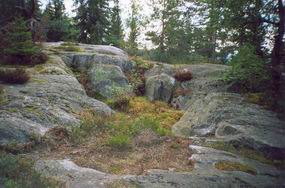 �-� �������� ���� (���������)